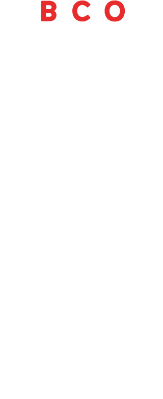Primary Raster logo